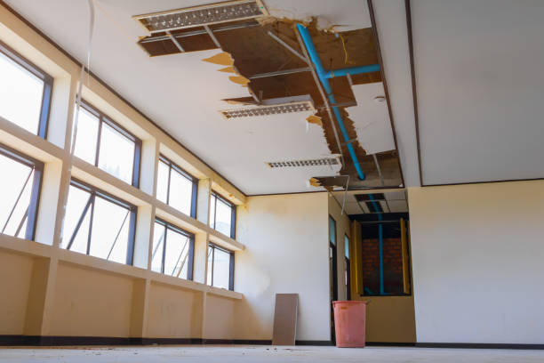 Best Water damage contractors near me  in Corning, AR