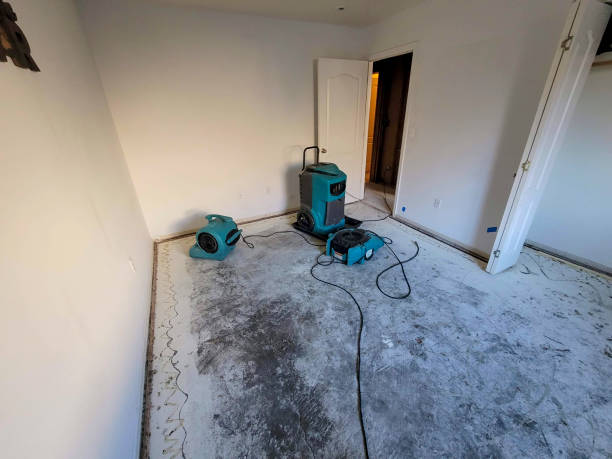 Reliable Corning, AR Water damage restoration Solutions