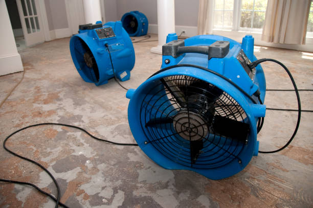 Best Commercial water damage restoration  in Corning, AR