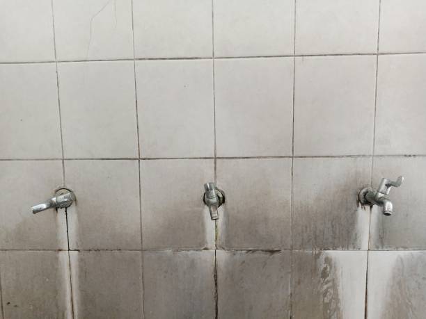 Best Water damage restoration near me  in Corning, AR