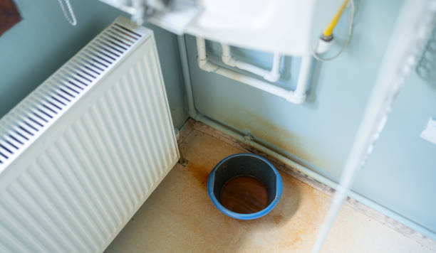 Best Professional water damage repair  in Corning, AR