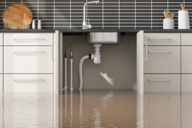 Best Flood restoration services  in Corning, AR