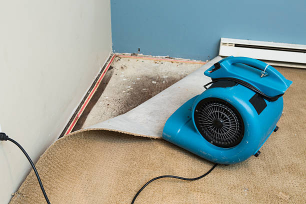  Corning, AR Water damage restoration Pros